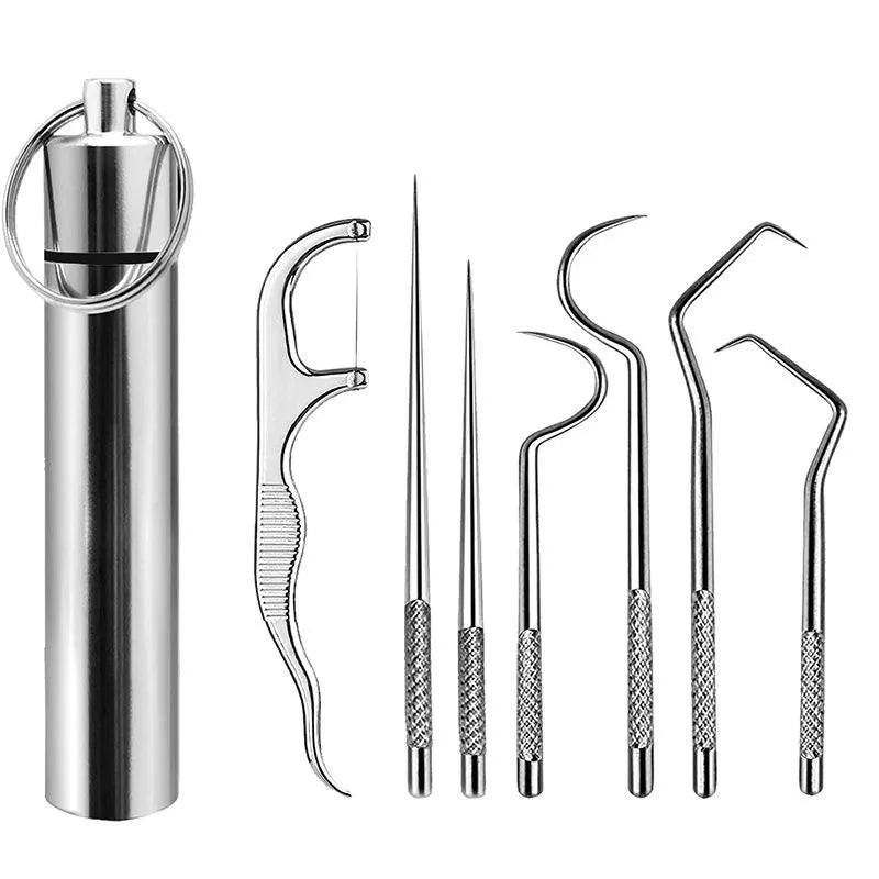 Stainless Steel Toothpick Set