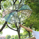 Fully Automatic Rainbow Transparent Umbrella