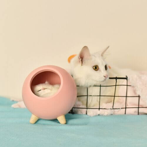 LED Cat House Night Lamp for Bedroom