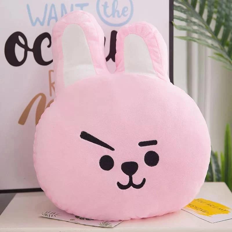 bt21 face cushion plushie pillow dup